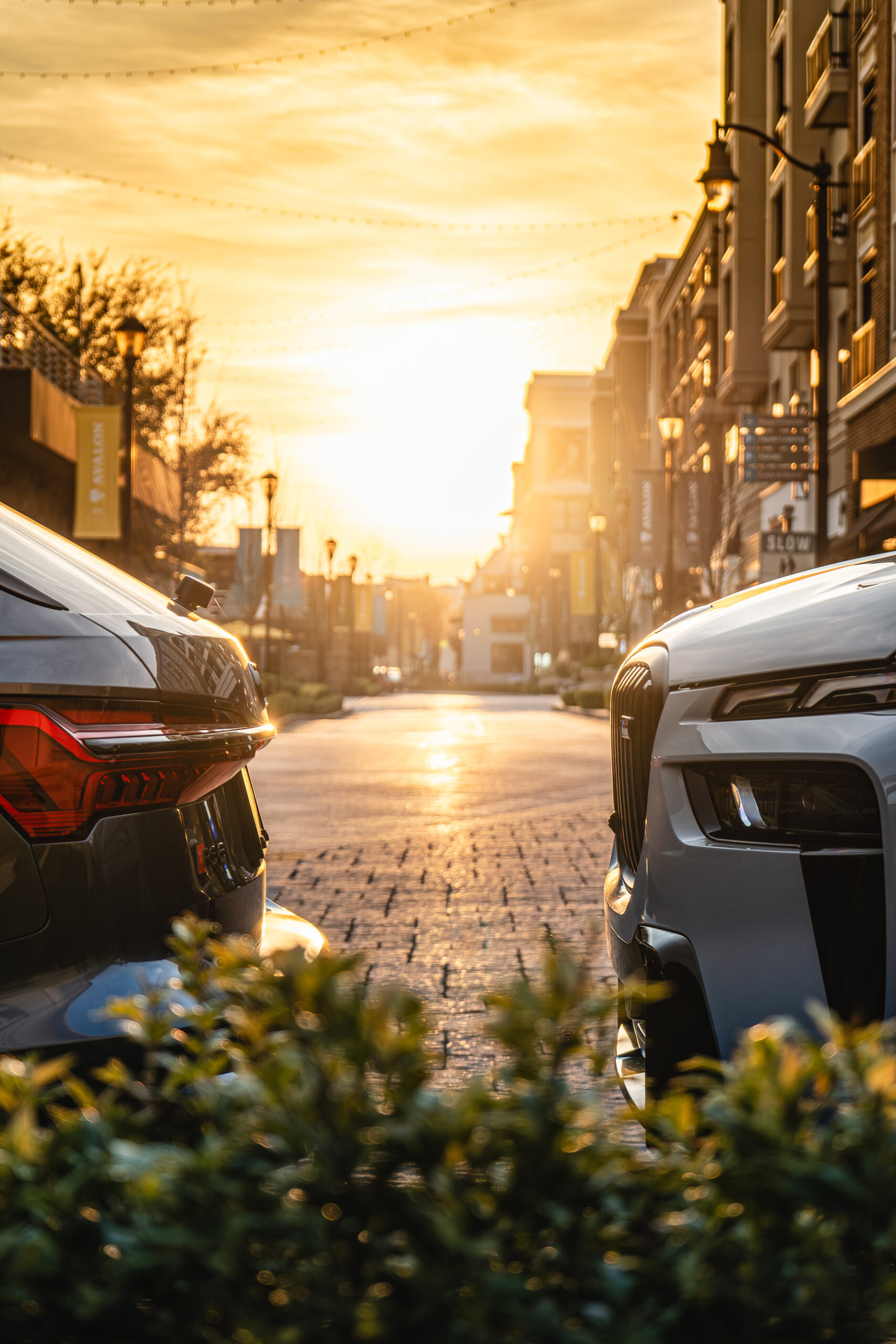 Avalon Sunset