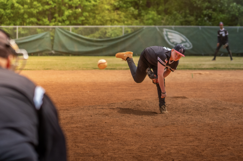 The Pitch